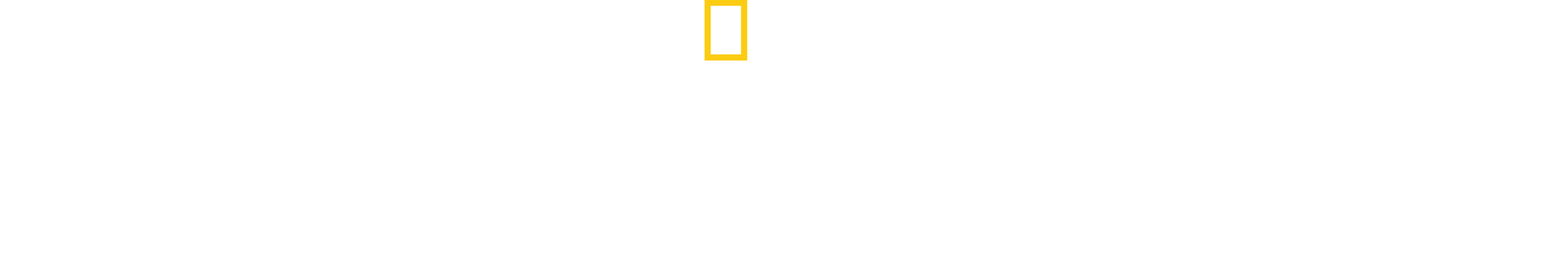 與世界的最後一眼相遇