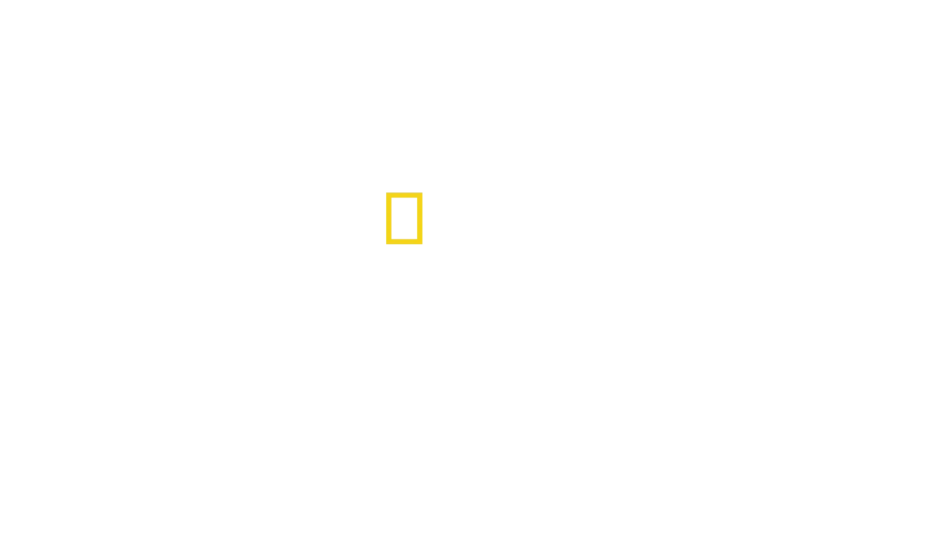 Haverikommissionen