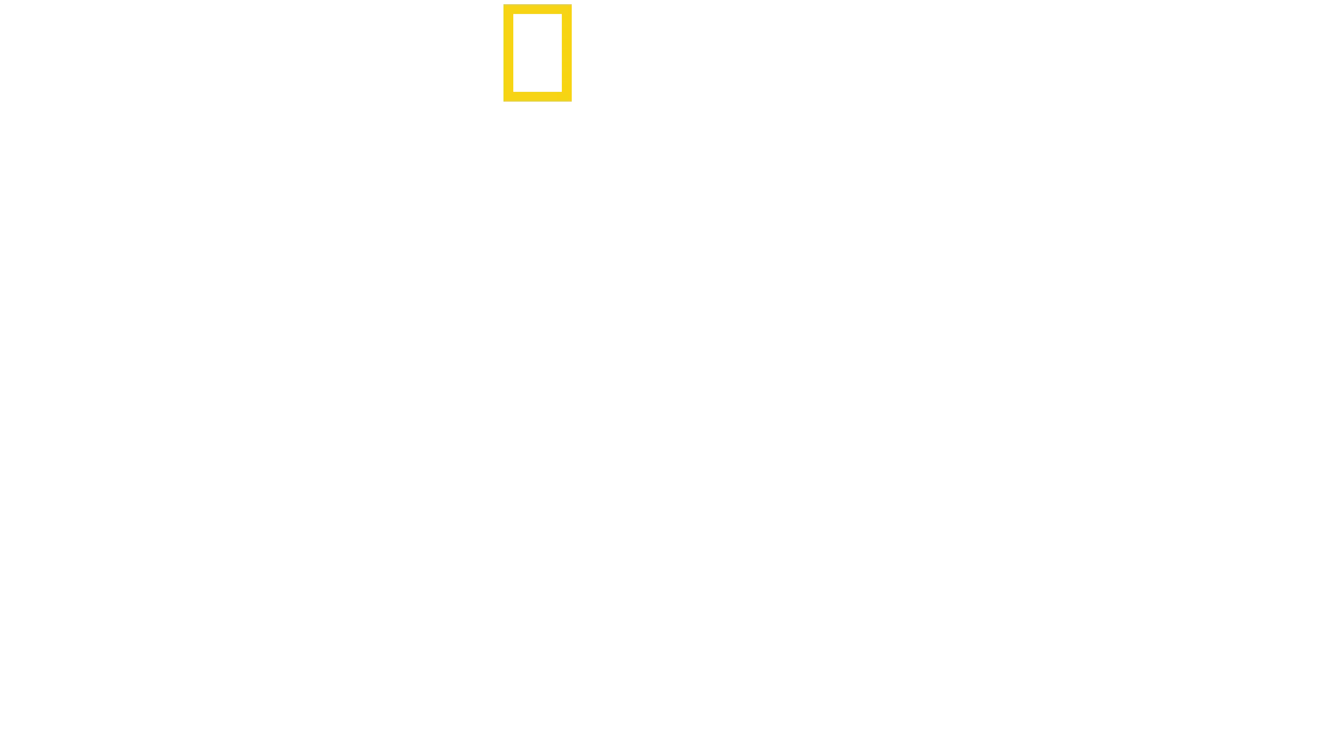 Rivalen: Haie vs. Orcas
