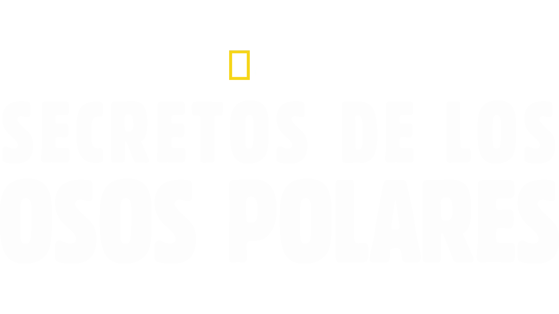 Secretos de los osos polares