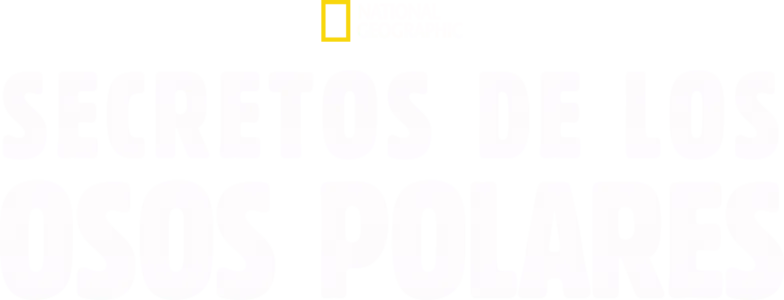 Secretos de los osos polares
