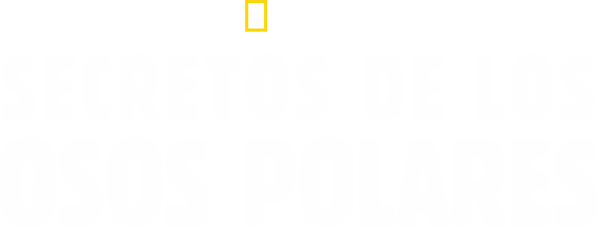 Secretos de los osos polares