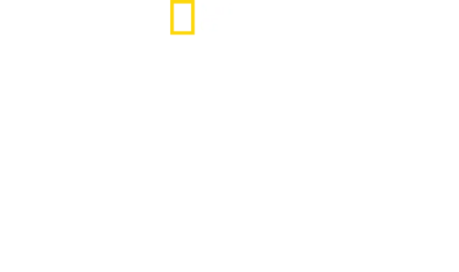 Tiburones de Maui