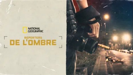 thumbnail - The Nightcrawlers