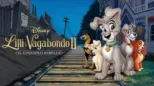 thumbnail - Lilli e il Vagabondo II: il cucciolo ribelle 