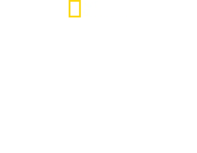 Hitler'in Basın Savaşı