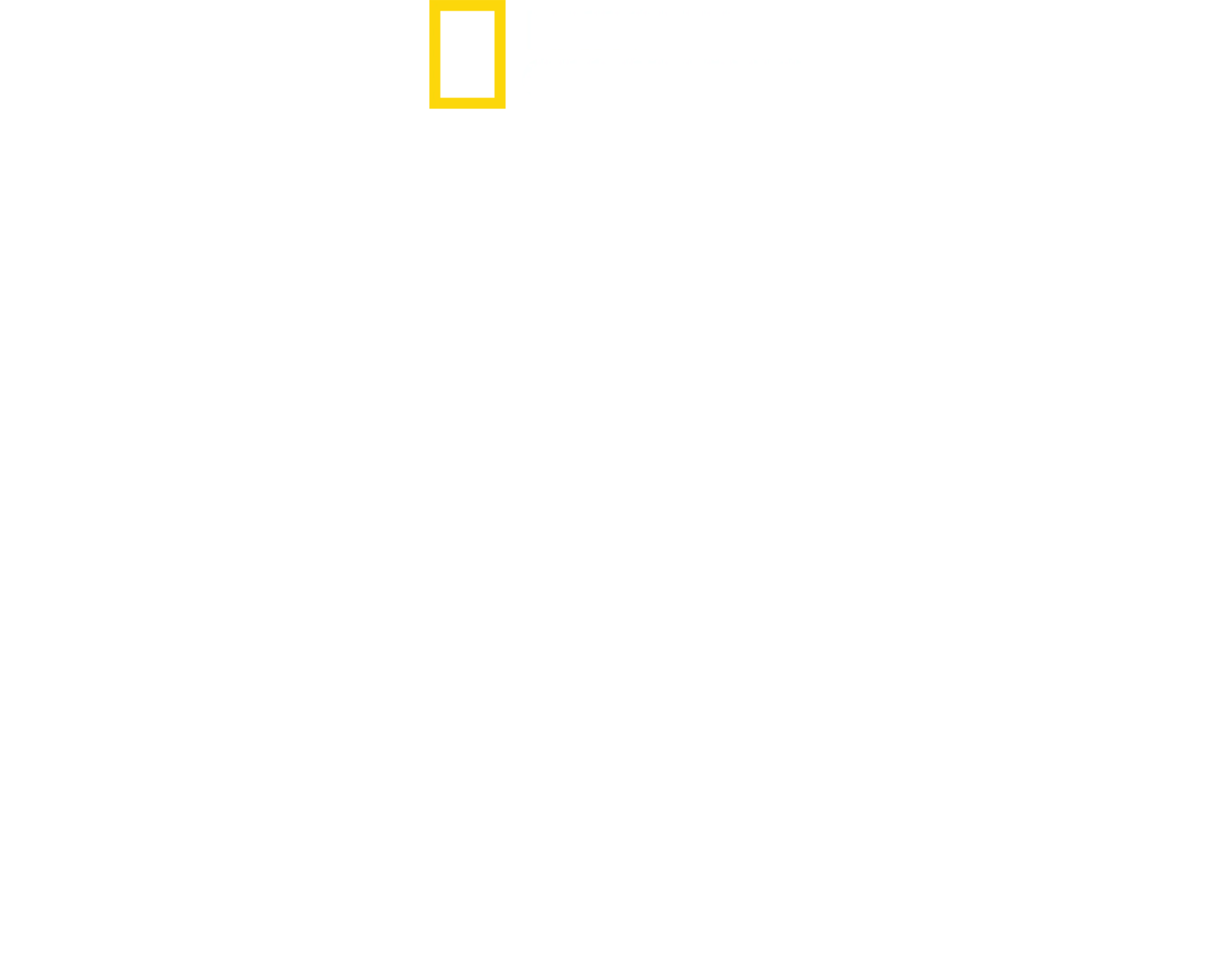 Hitler'in Basın Savaşı