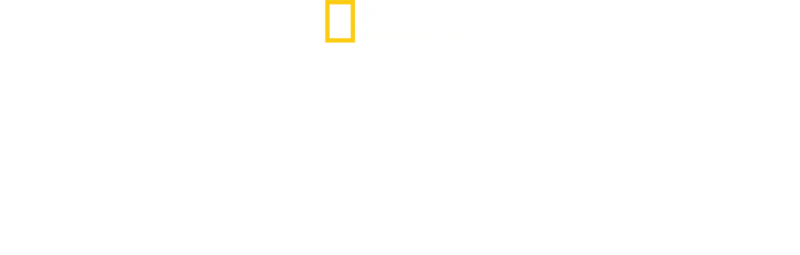 Mrknutí
