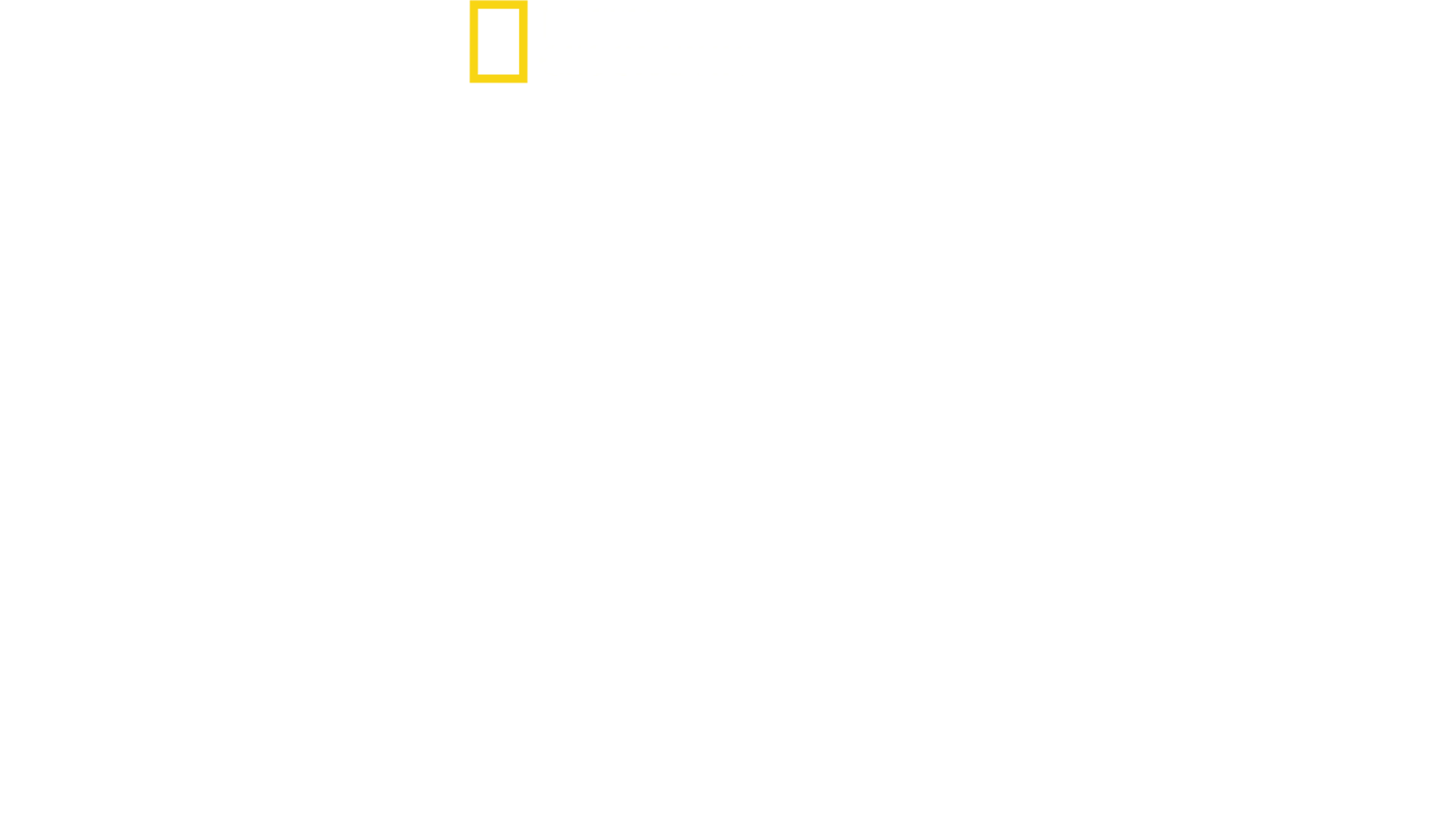 珍古德的傳奇一生