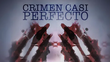 thumbnail - The Perfect Murder