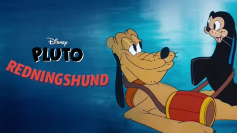 thumbnail - Redningshund