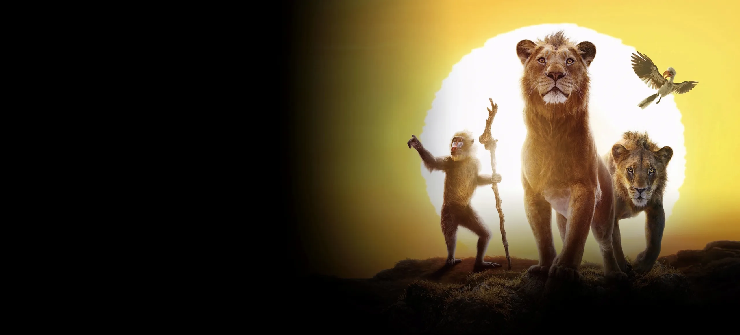 Background Image Slider - Mufasa: The Lion King