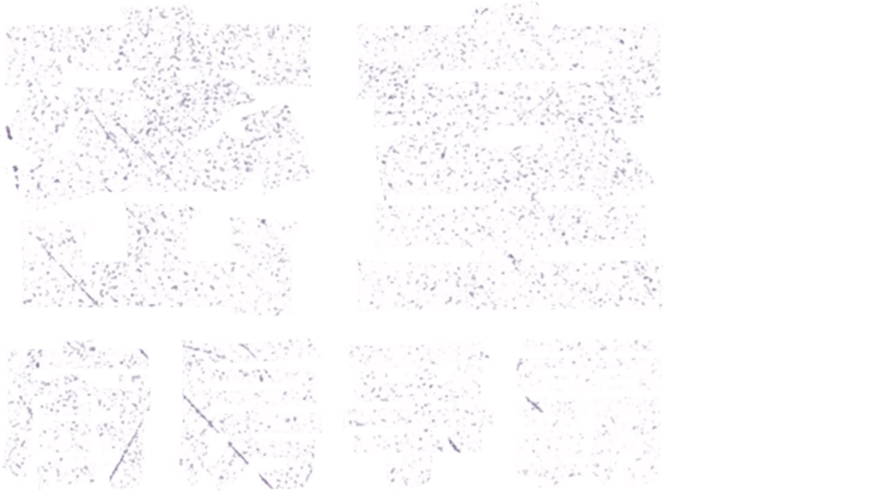 密室廚房爭霸