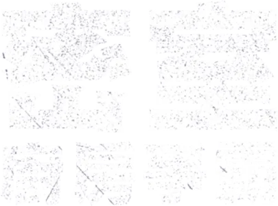 密室廚房爭霸