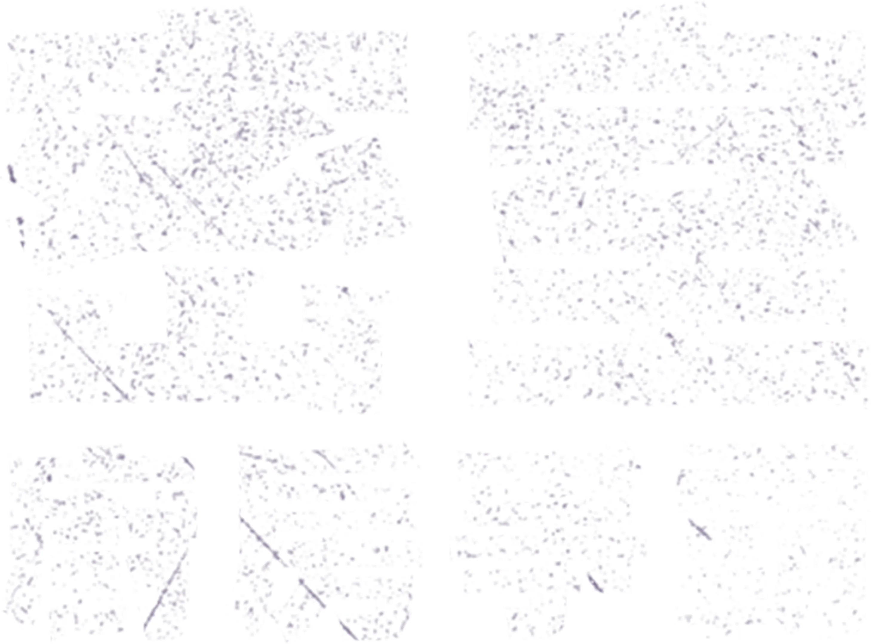 密室廚房爭霸