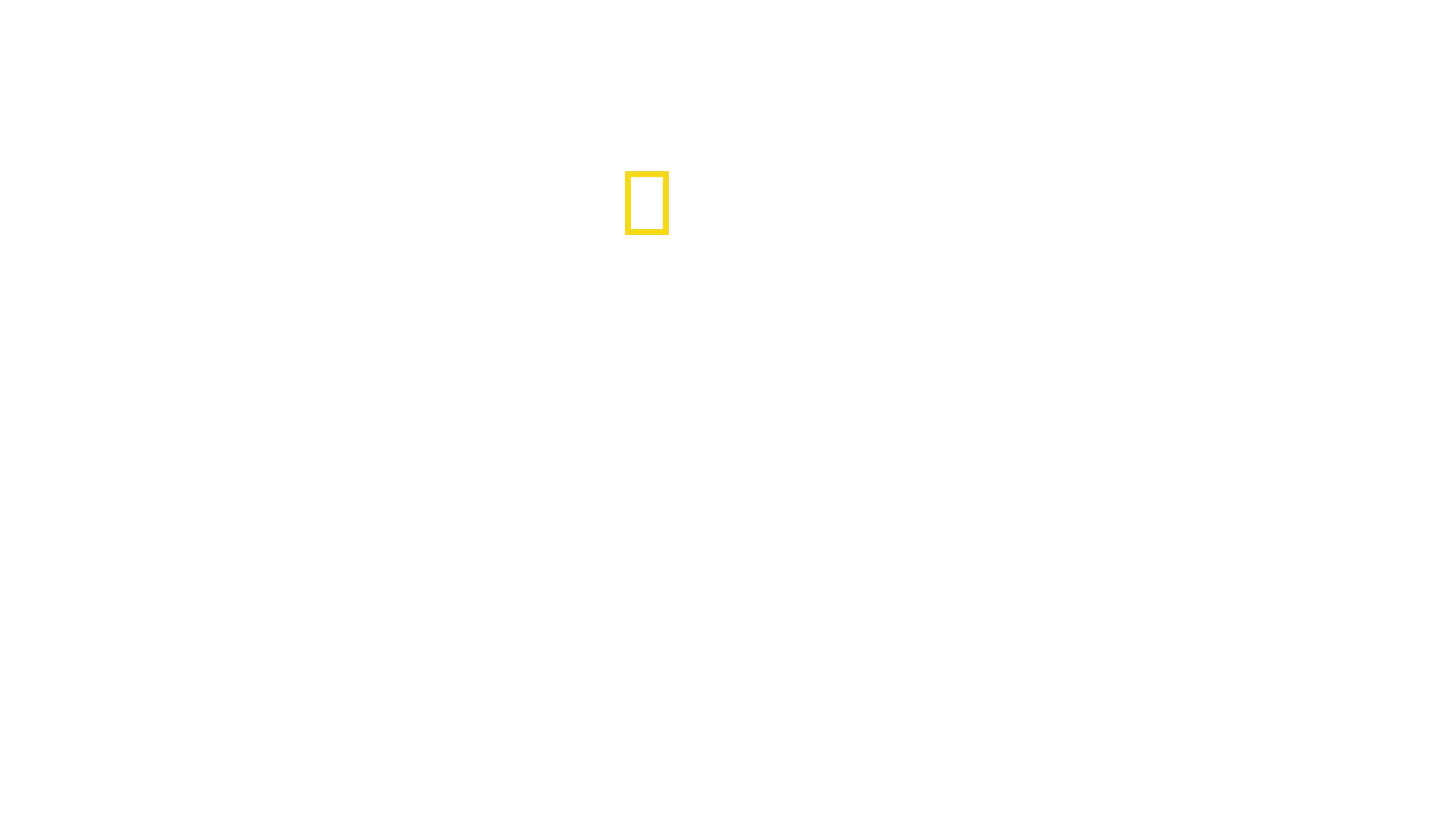 El Planeta de los Pájaros