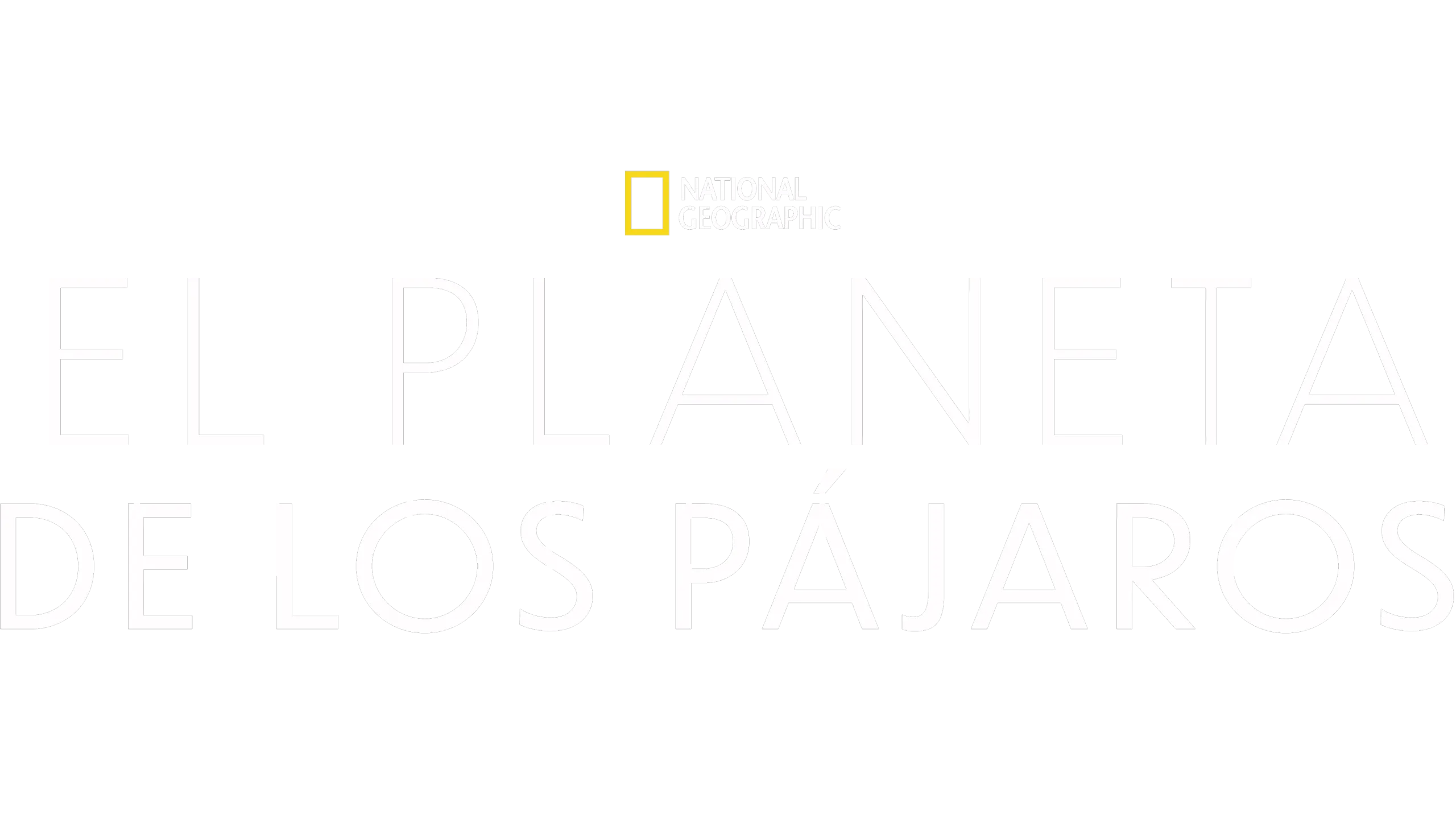 El Planeta de los Pájaros