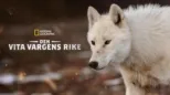 thumbnail - Den vita vargens rike