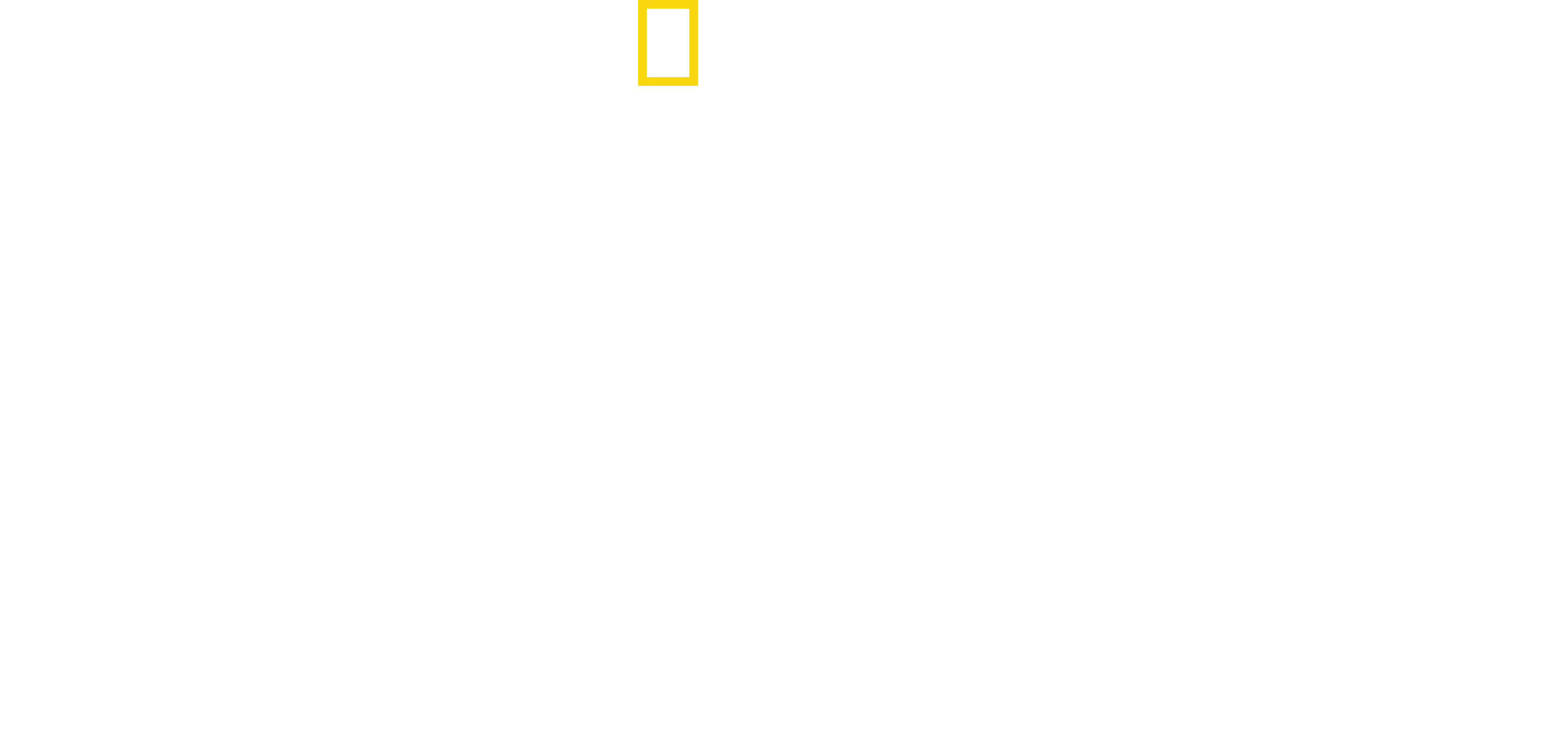 Thailand's Wild Cats