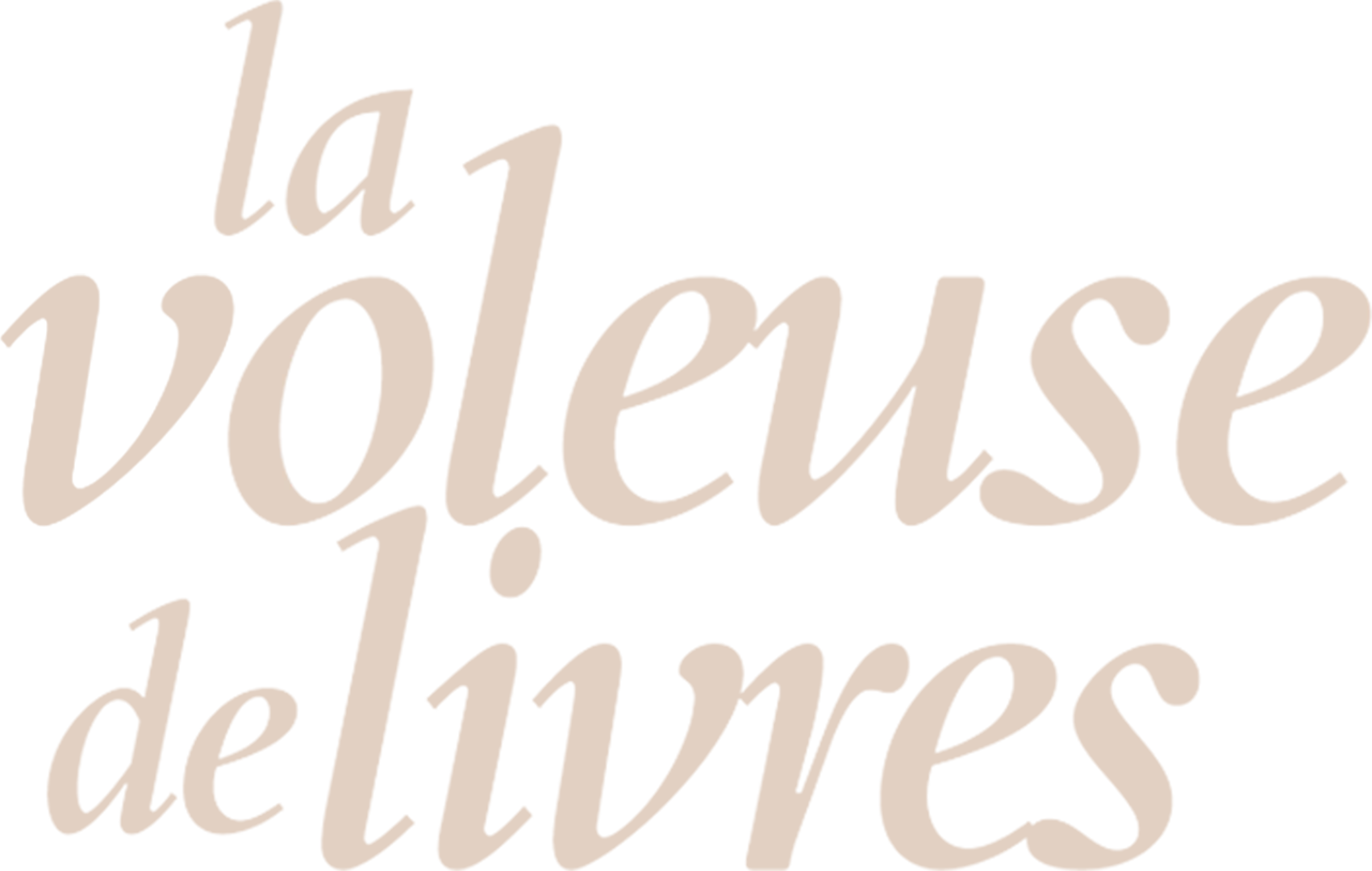 La Voleuse De Livres
