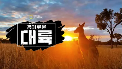 thumbnail - 경이로운 대륙