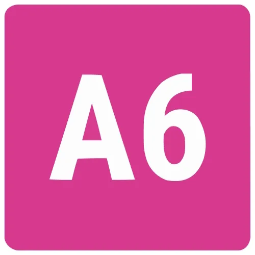 A6