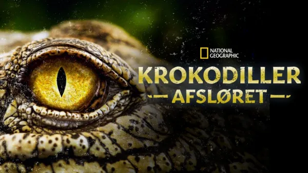 thumbnail - Krokodiller afsløret