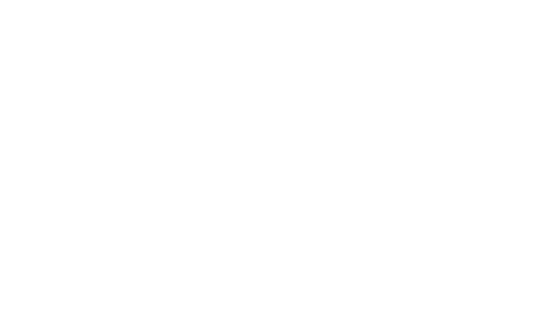 Le Transporteur