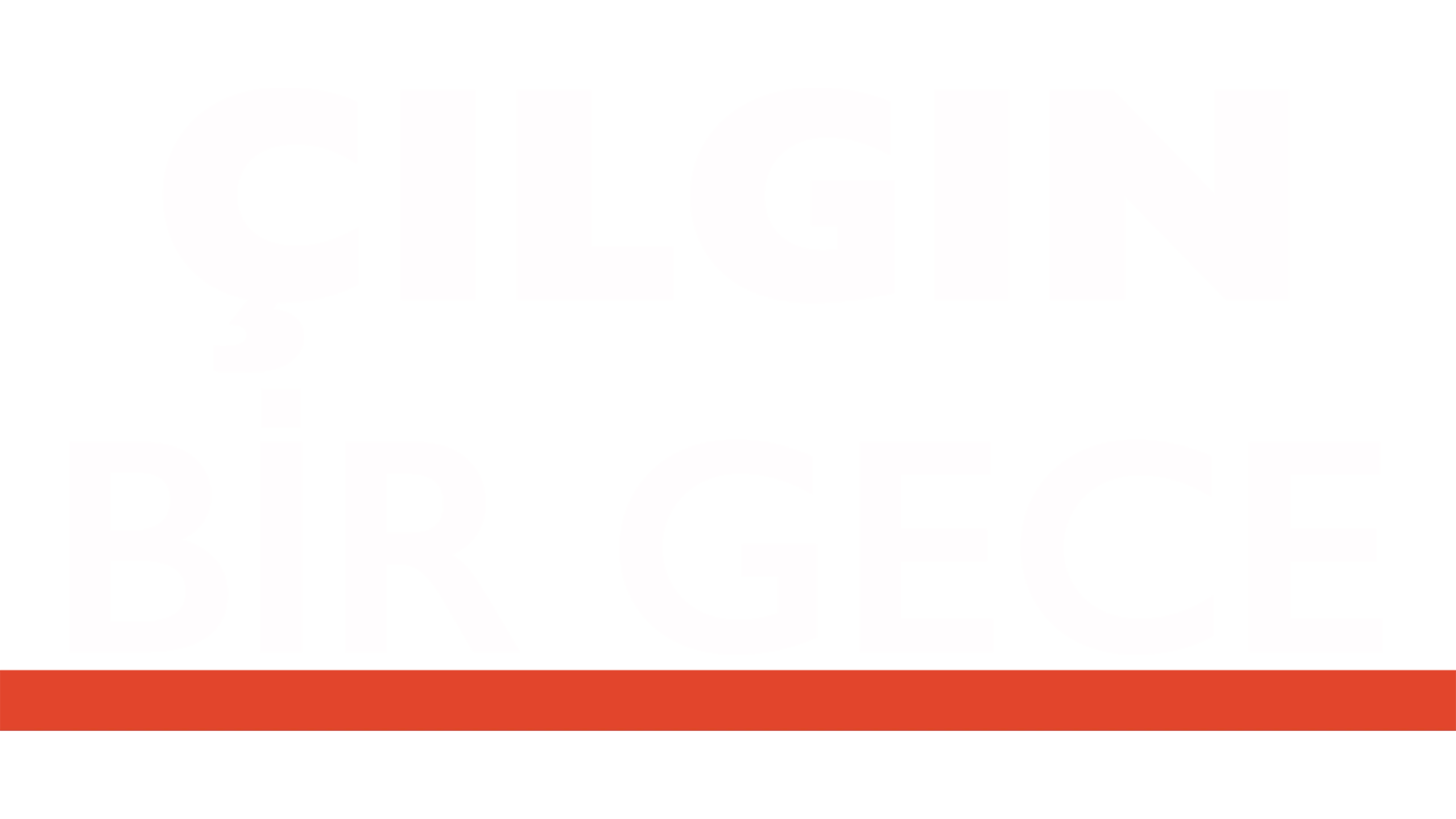 Çılgın Bir Gece