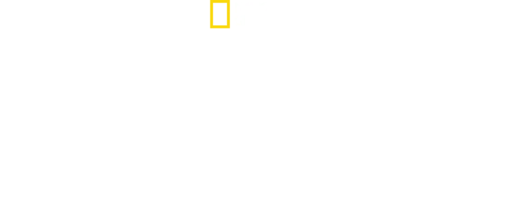 Kingdom of the Polar Bears