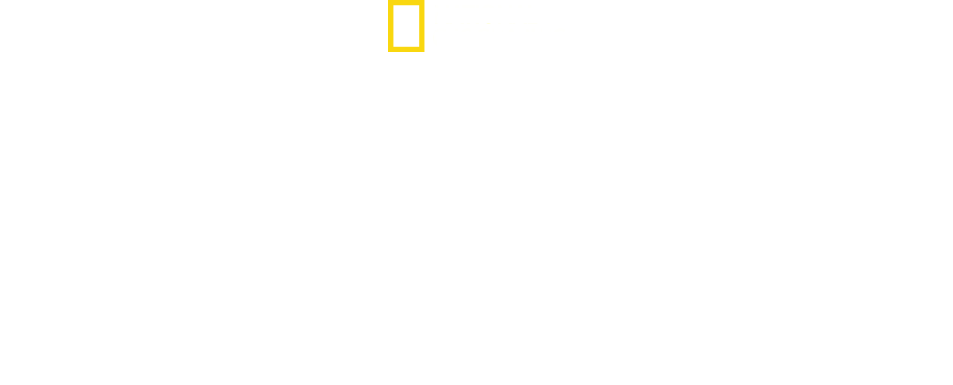 Kingdom of the Polar Bears