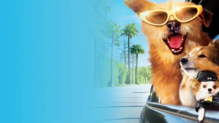 Dr. Dolittle: Million Dollar Mutts