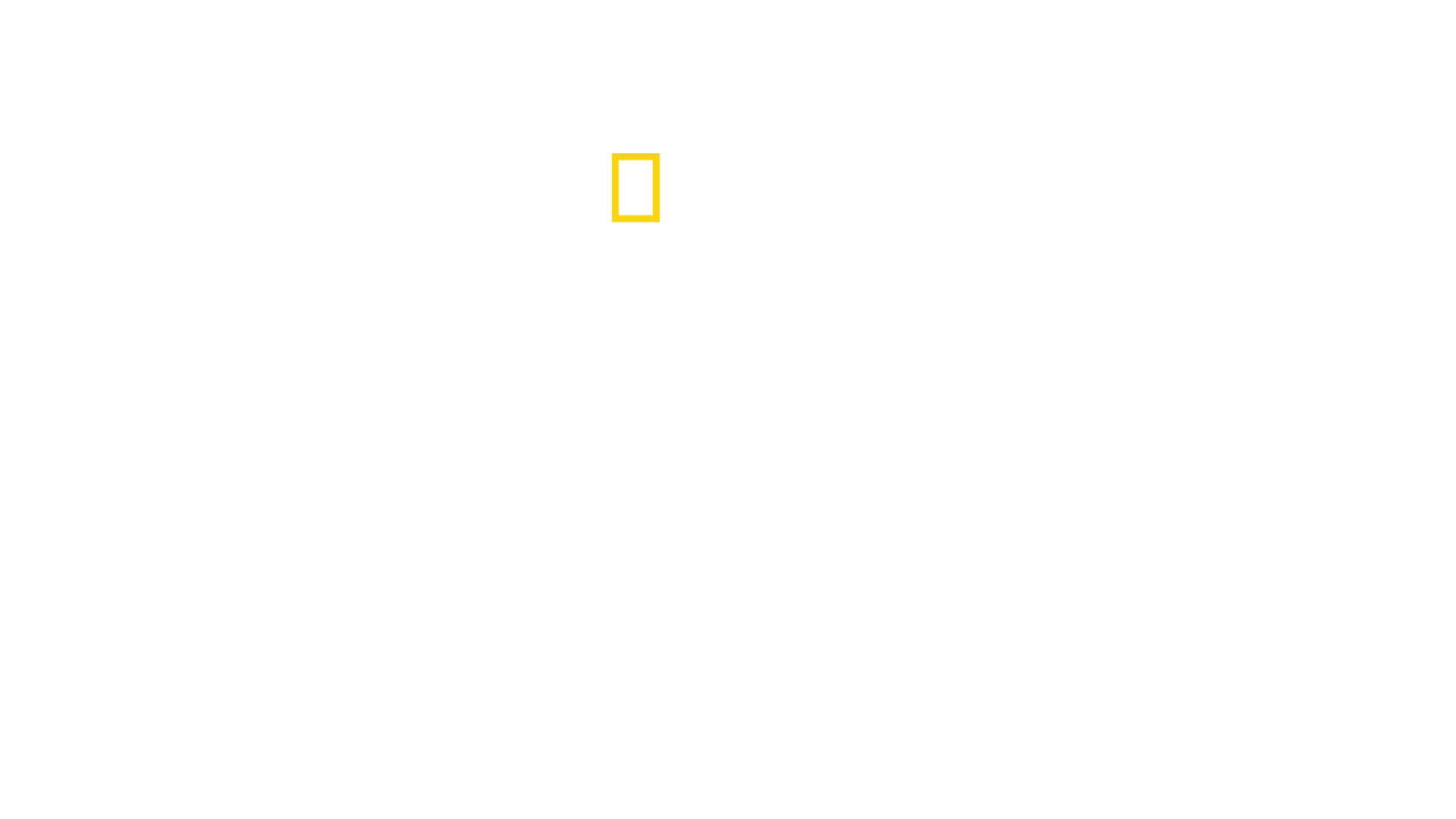 Mandíbulas Sangrentas