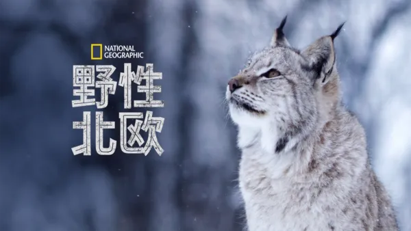 thumbnail - 野性北欧