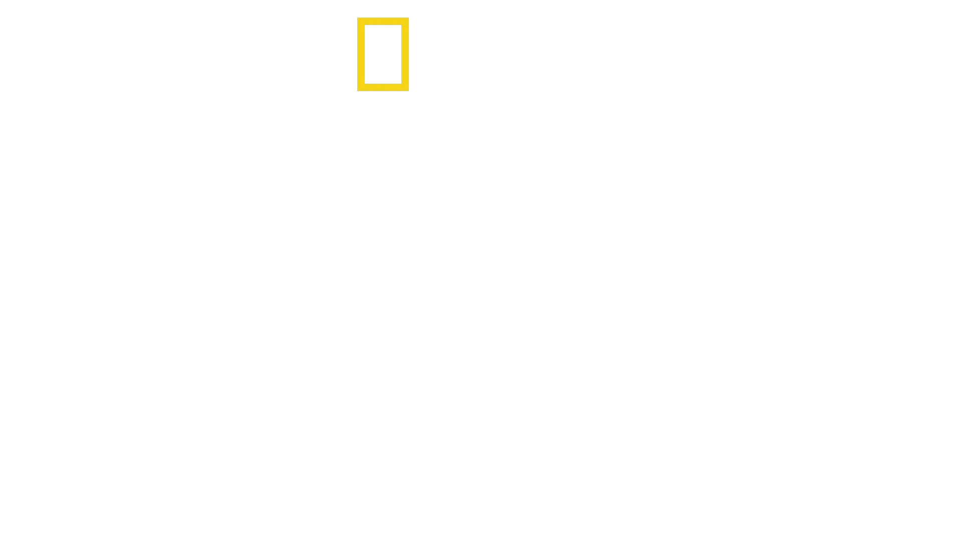 SpaceX: Die Reise zum Mars