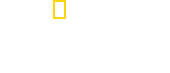 地下黑市