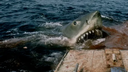 Jaws