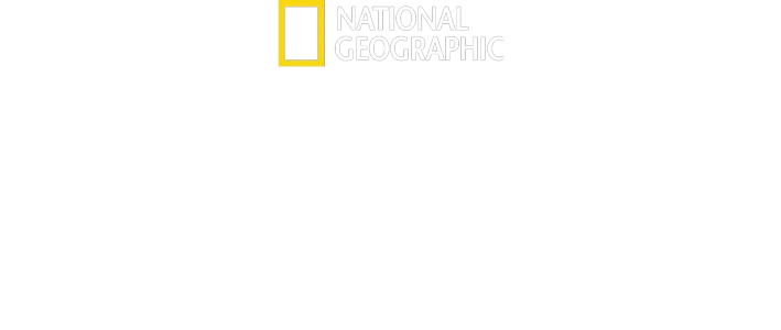 Setkání se šimpanzi