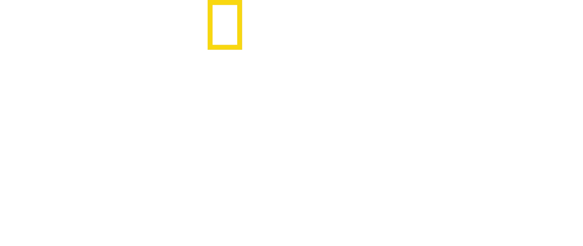 Setkání se šimpanzi