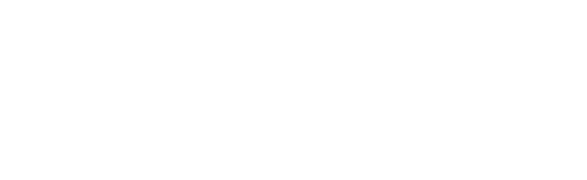 Prior Convictions