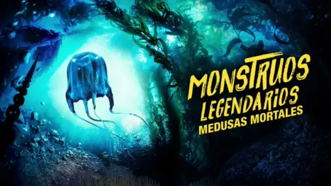 thumbnail - MonsterQuest: Deadly Jellyfish