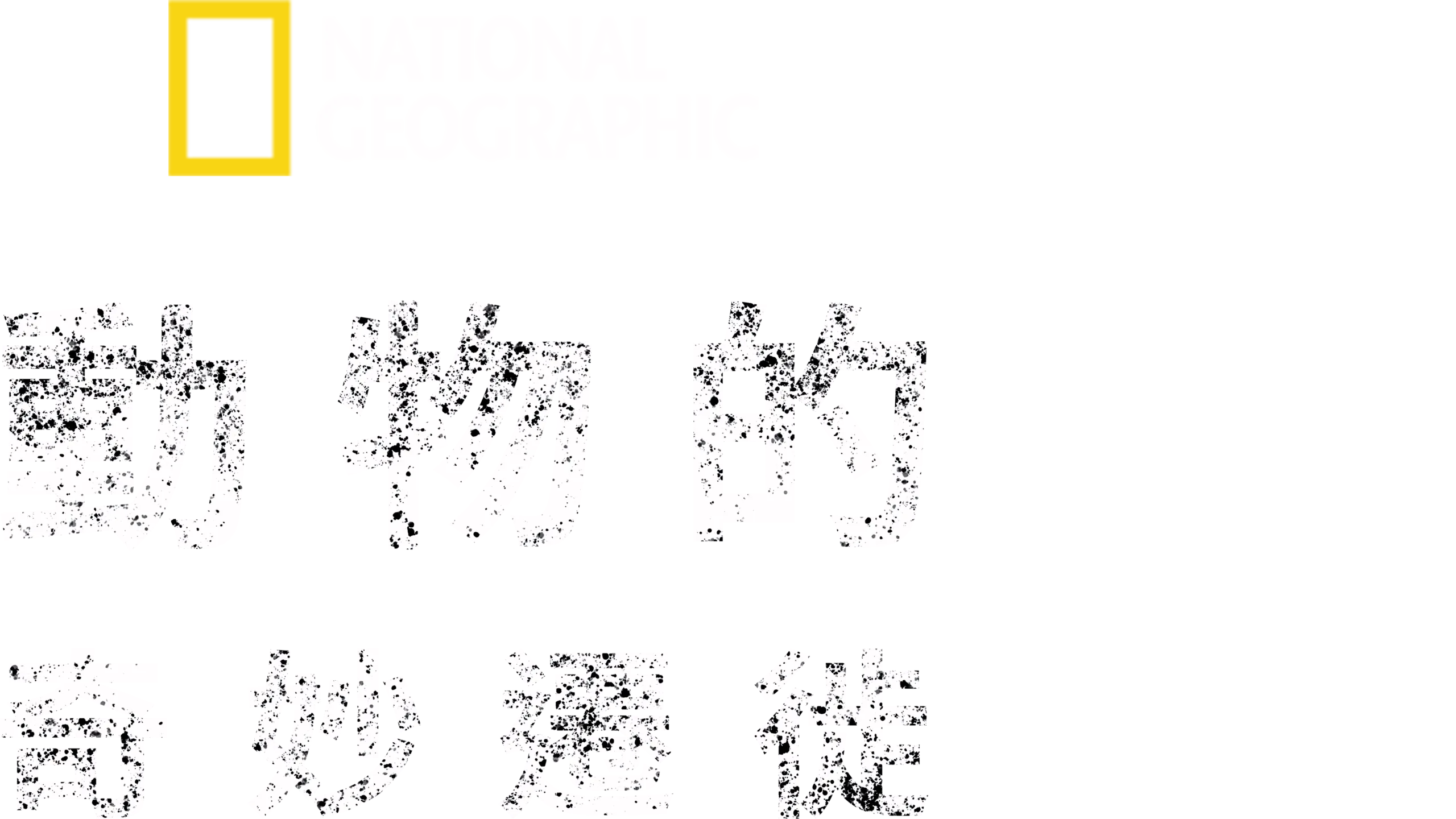 動物的奇妙遷徙