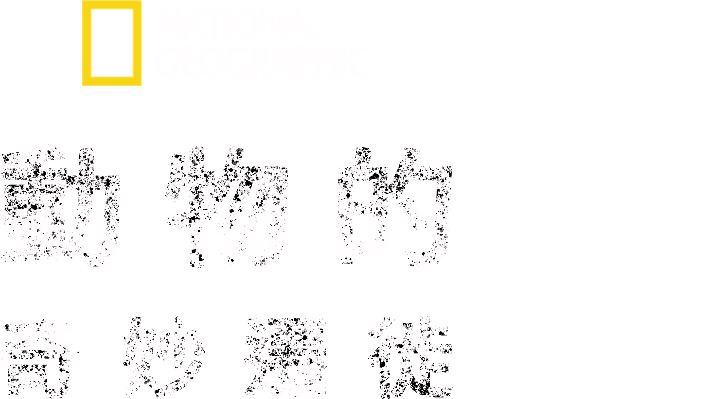 動物的奇妙遷徙