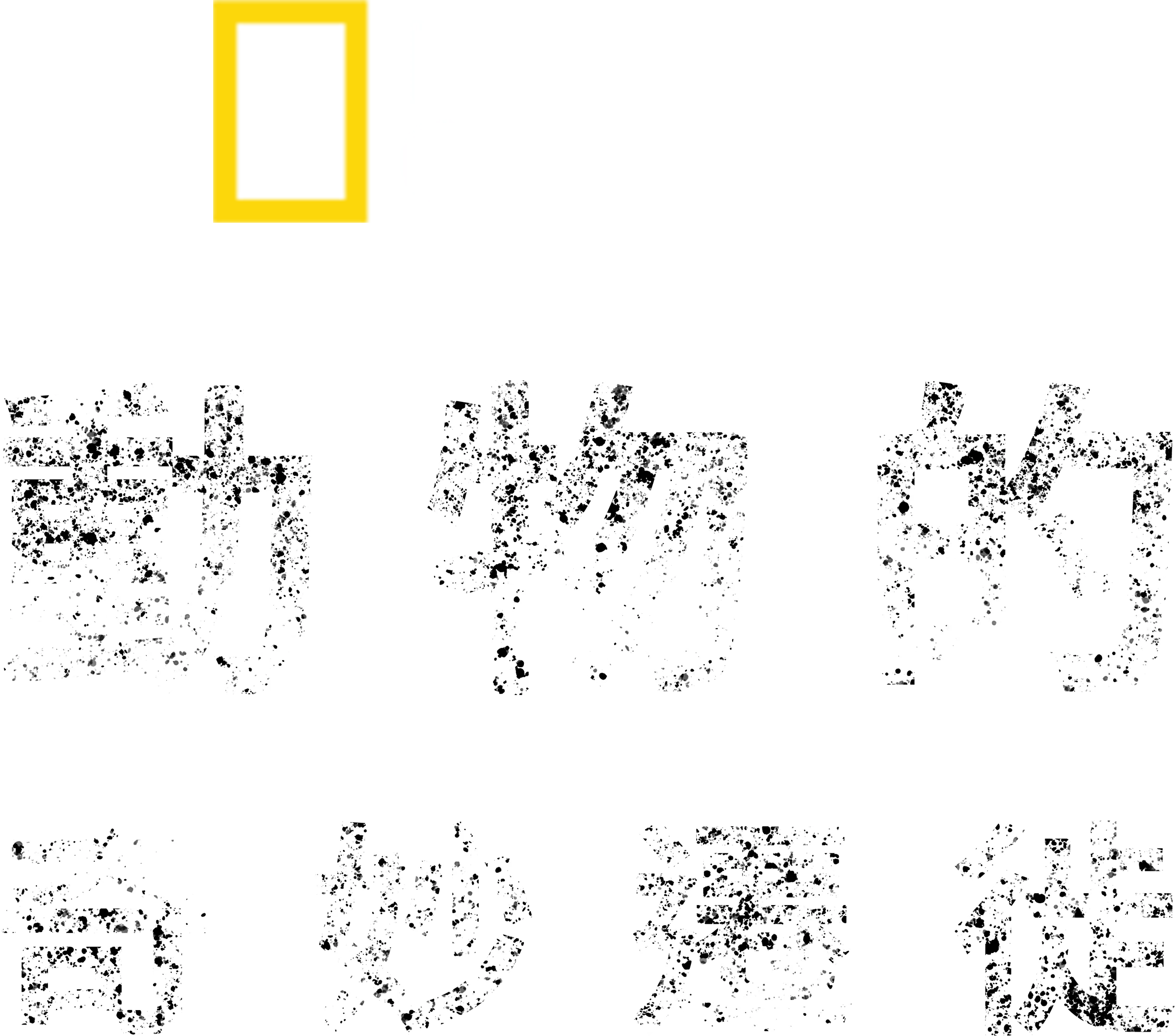 動物的奇妙遷徙