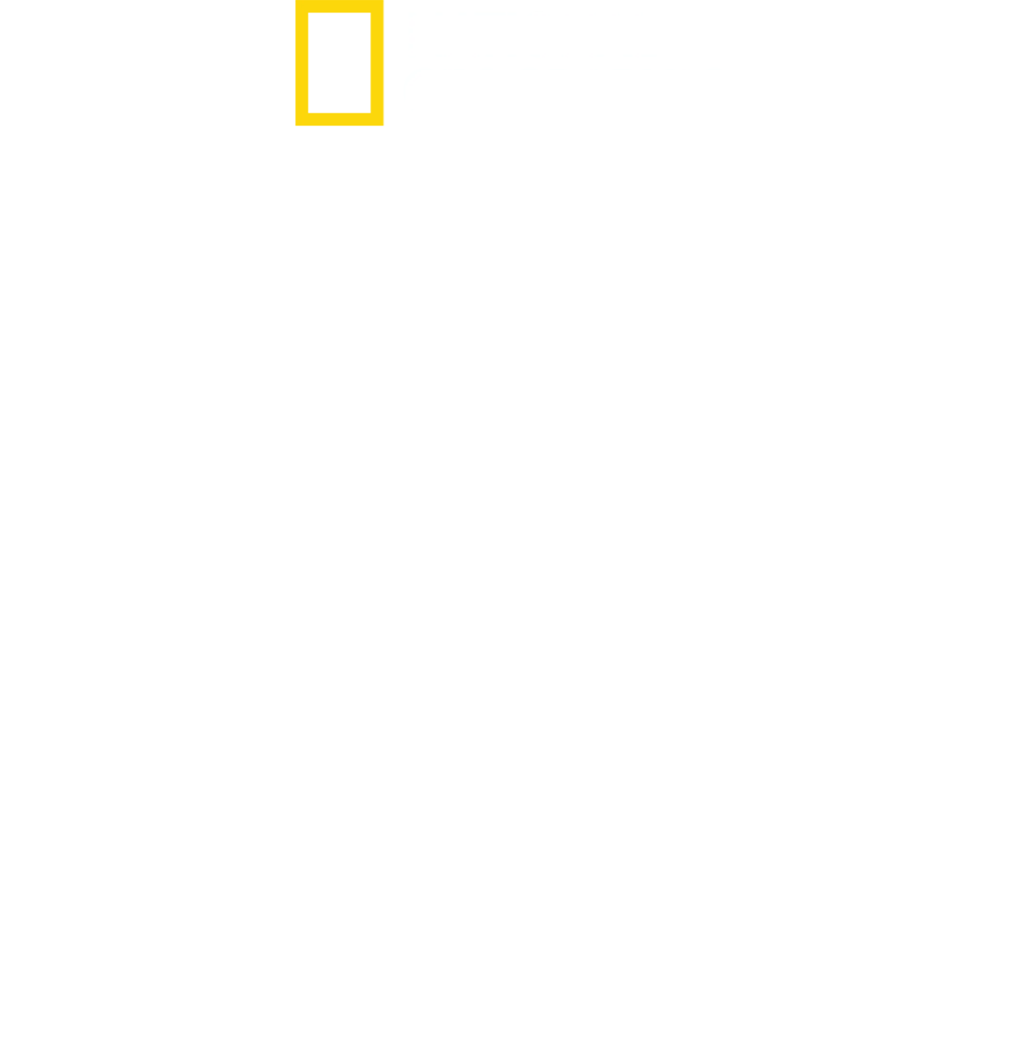 美國的綠色行動