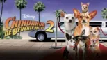 thumbnail - O Chihuahua de Beverly Hills 2