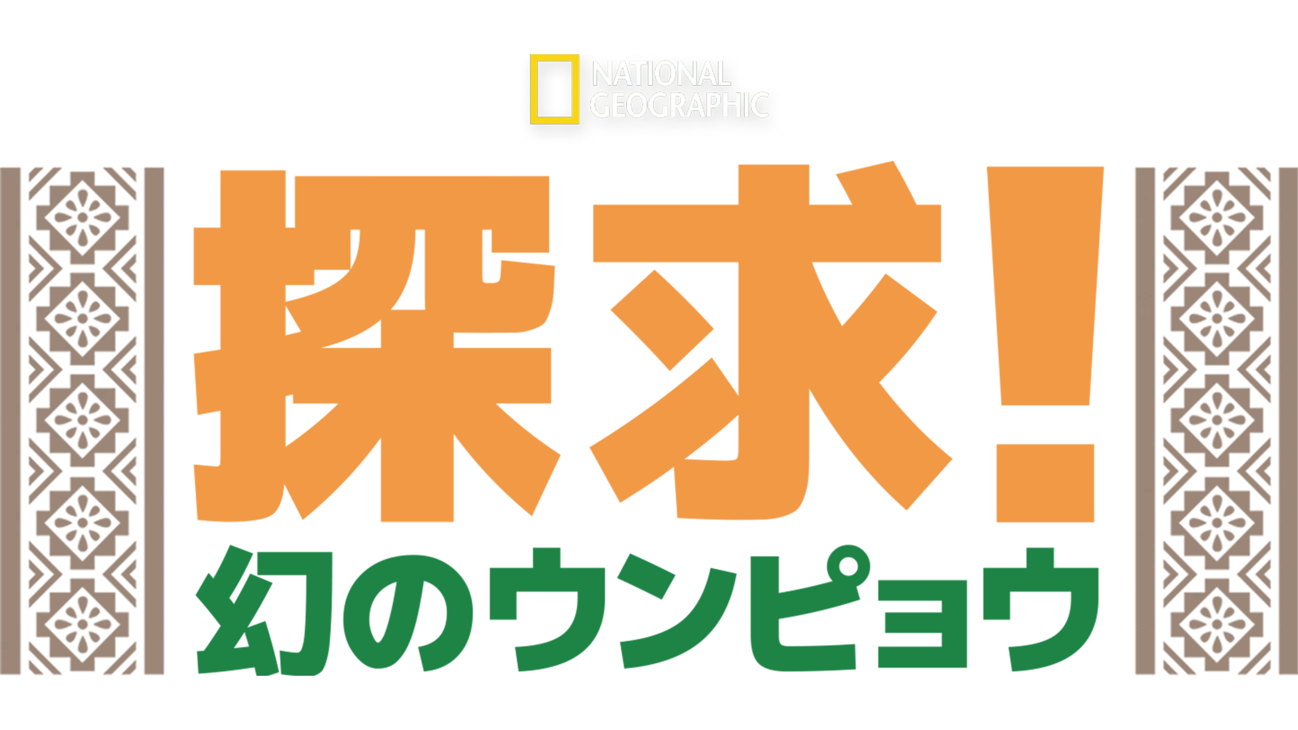 探求！幻のウンピョウ