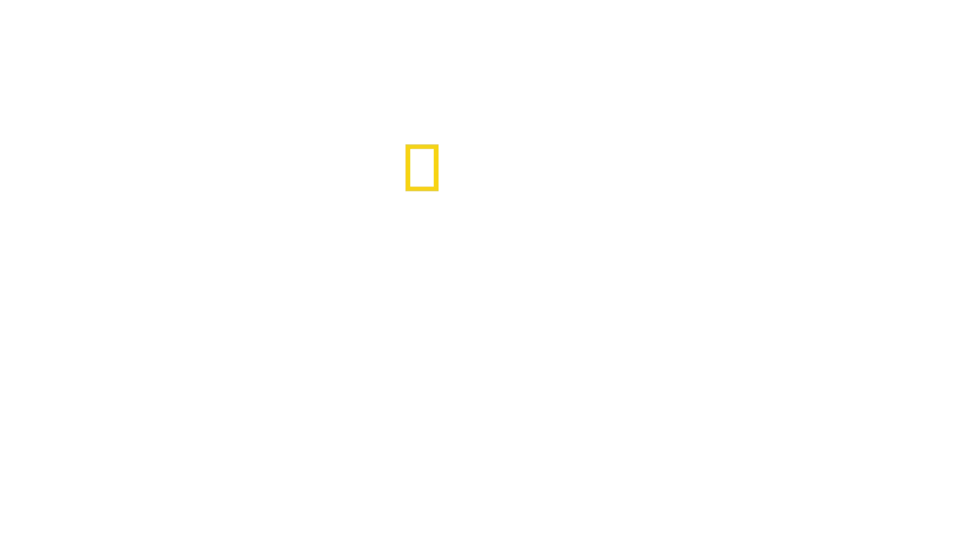 Das Paradies der Haie