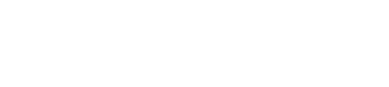 Shopaholic - Die Schnäppchenjägerin