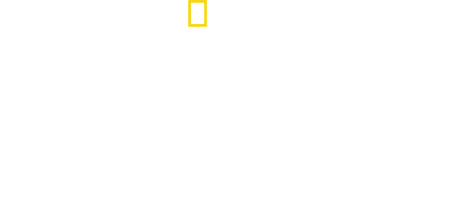 Challenger-ulykken